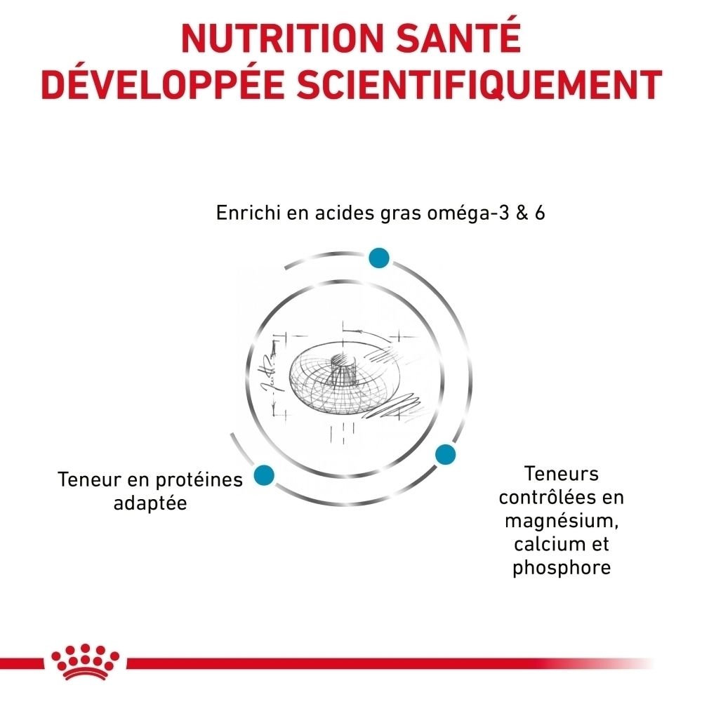 Sac de croquettes Royal Canin Skin & Coat avec un chat.