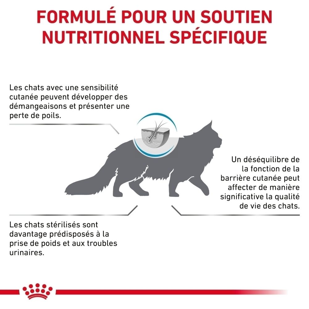 Sac de croquettes Royal Canin Skin & Coat avec un chat.