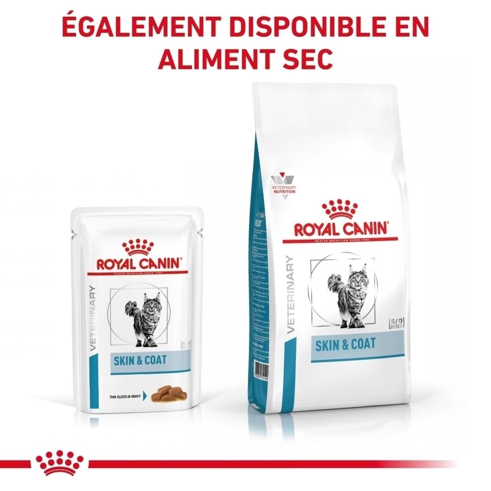 Nourriture Royal Canin Skin & Coat pour chat en sachet et sac. Montre un chat et des croquettes.