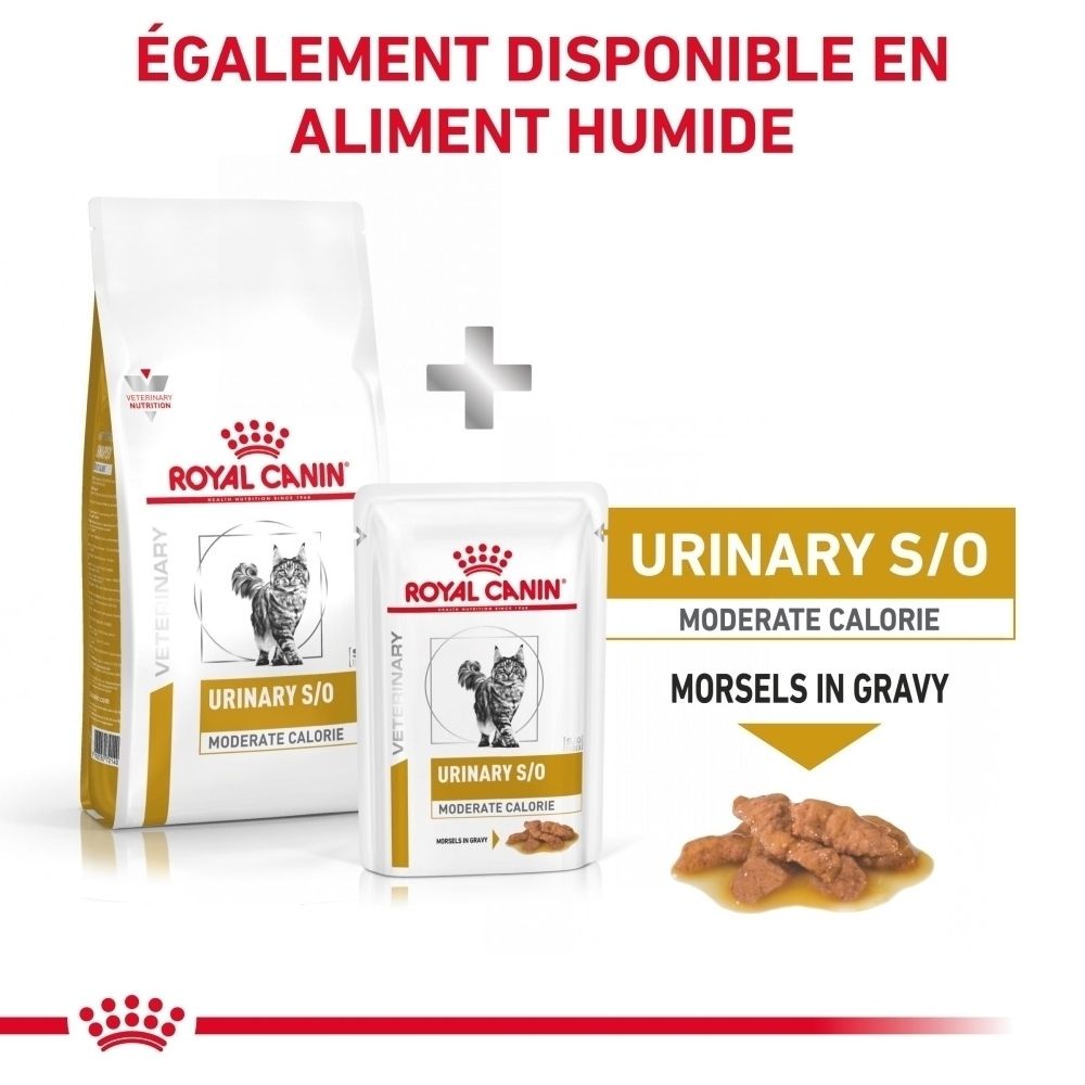 Avant d'un sac de nourriture pour chat ROYAL CANIN® Urinary S/O Moderate Calorie avec illustration de chat.