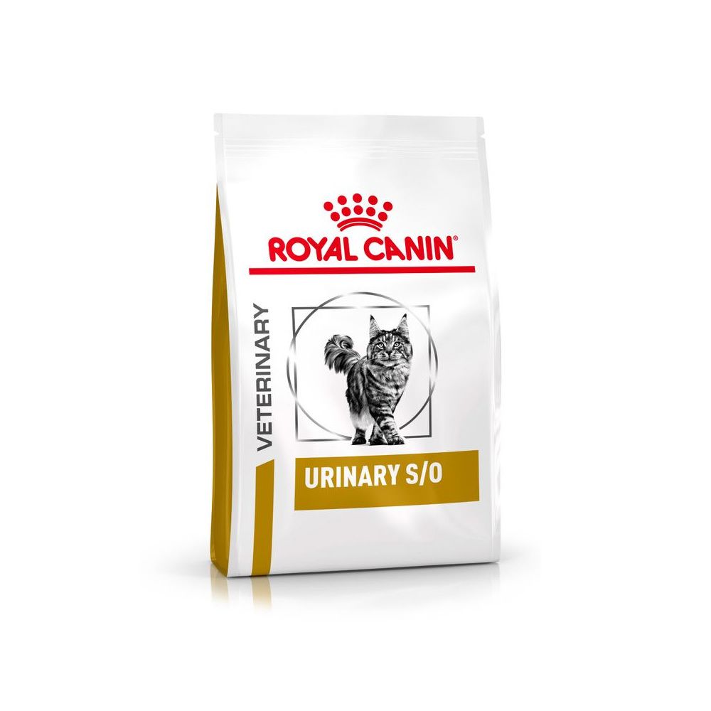 Sac de nourriture sèche ROYAL CANIN® Urinary S/O avec un chat.
