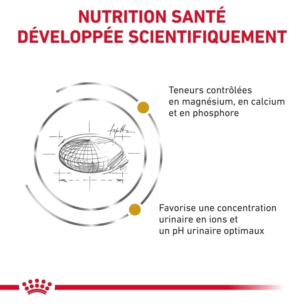 Sac de nourriture sèche ROYAL CANIN® Urinary S/O avec un chat.