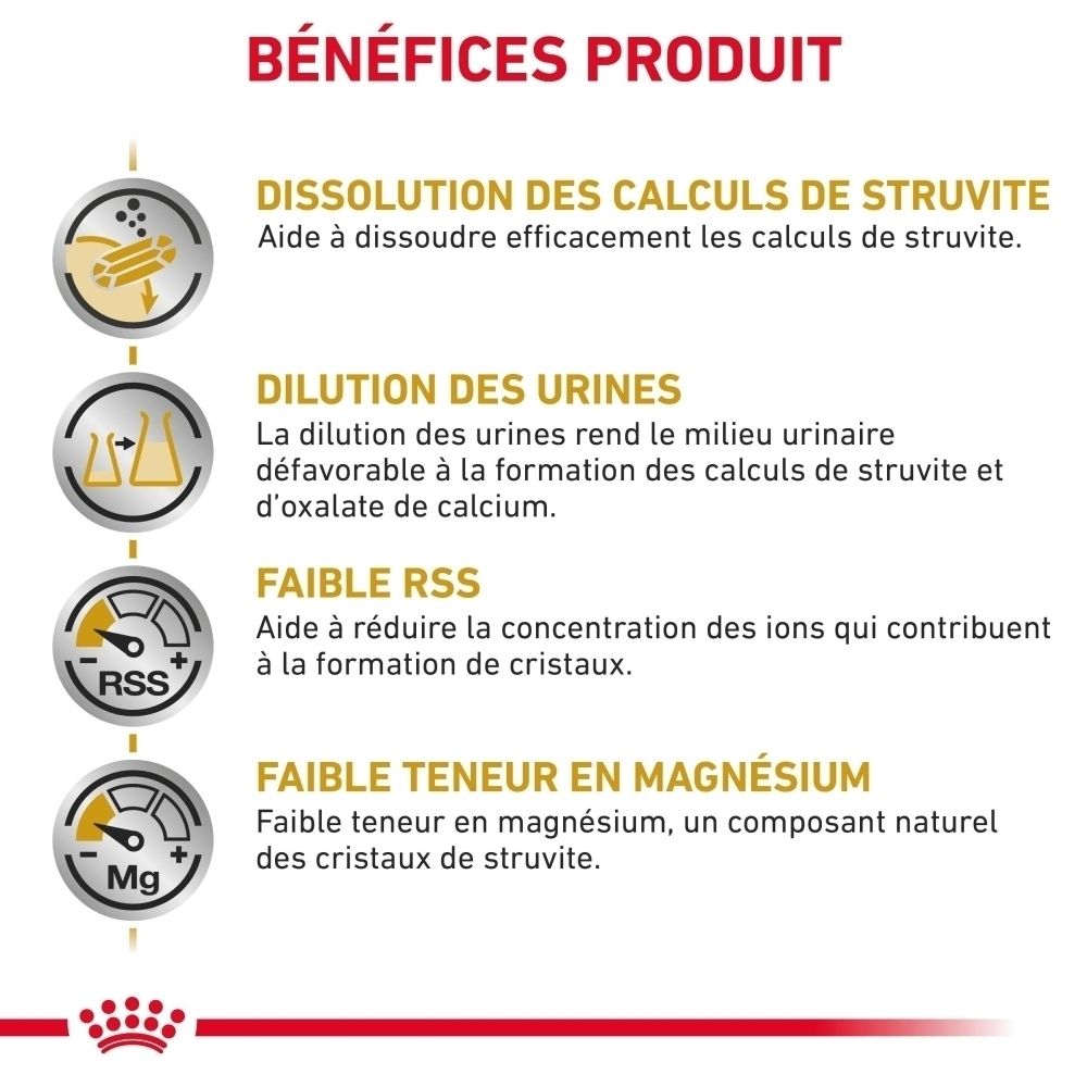 Sac de nourriture sèche ROYAL CANIN® Urinary S/O avec un chat.