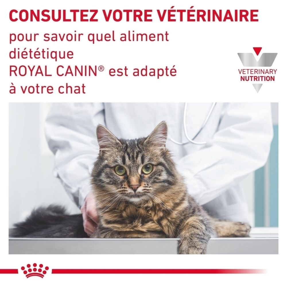 Sac de nourriture sèche ROYAL CANIN® Urinary S/O avec un chat.