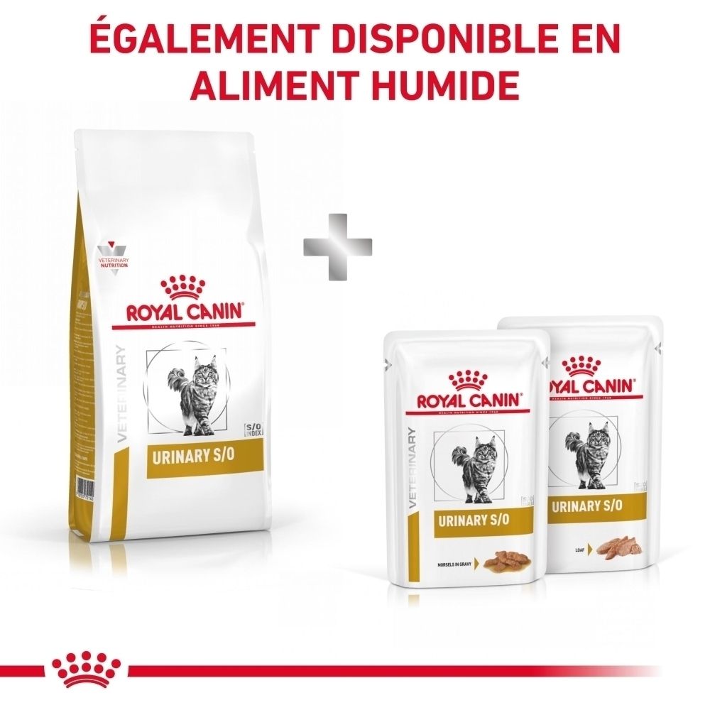 Royal Canin Urinary S/O: Constituants analytiques et ingrédients.
