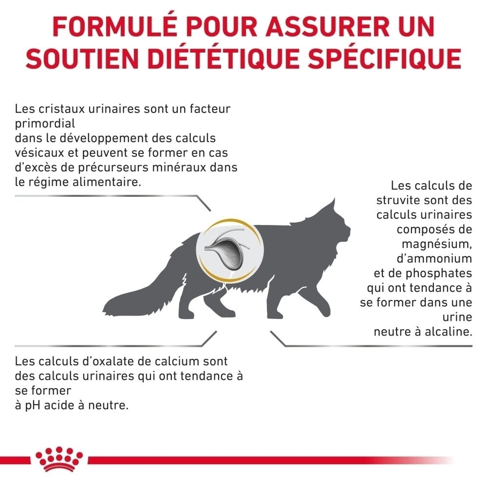 Graphique illustrant les avantages de ROYAL CANIN Urinary S/O Moderate Calorie pour la santé urinaire des chats.