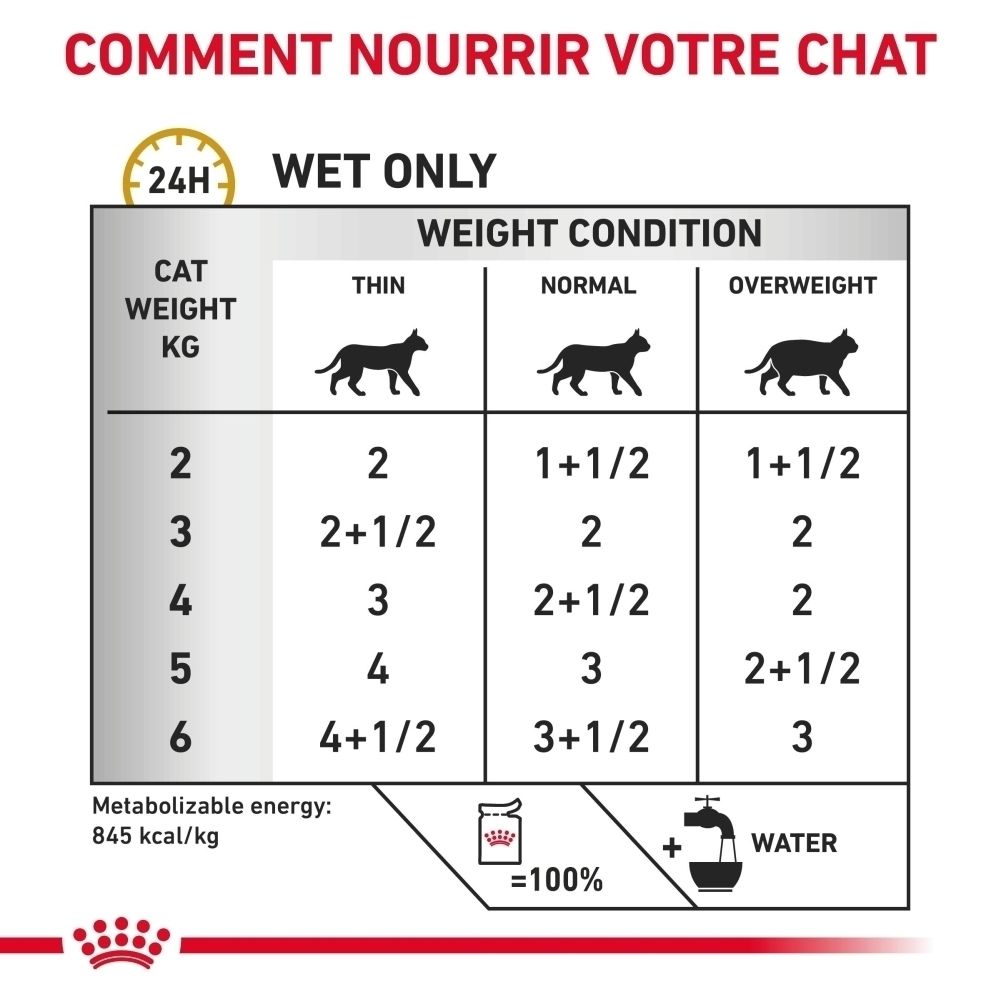 Boîte Royal Canin Urinary S/O Loaf avec recommandations d'alimentation.
