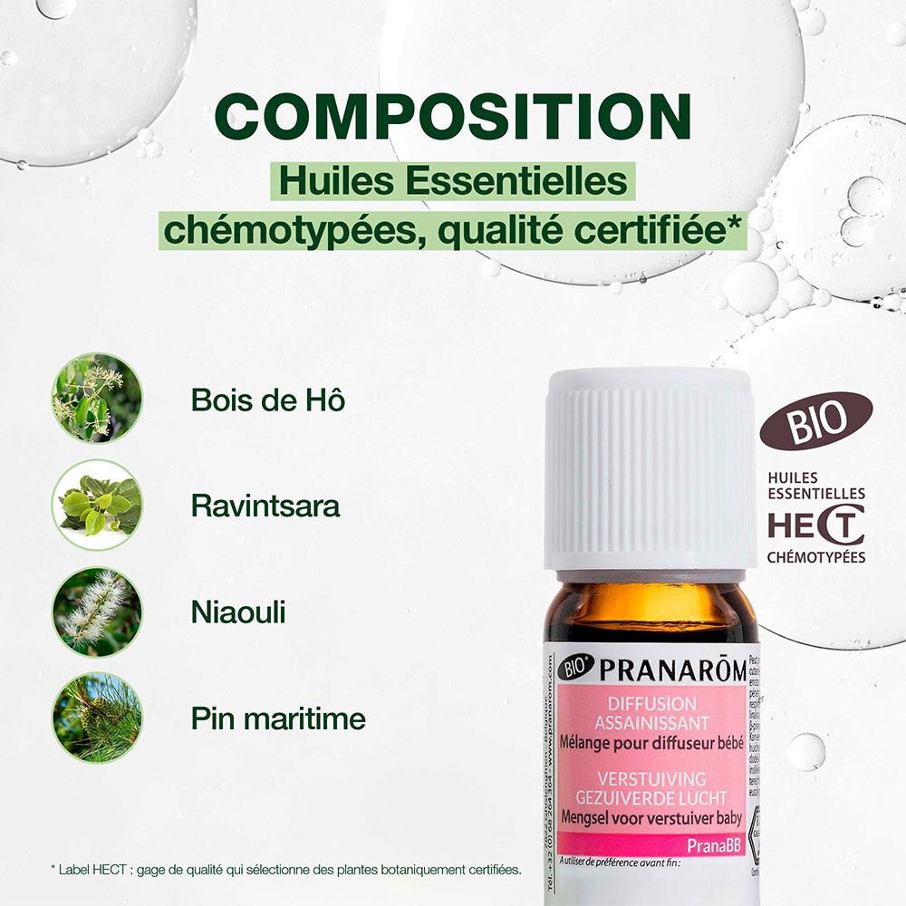 Composition des huiles essentielles. Bois de Hô, Ravintsara, Niaouli, Pin maritime. Certification Bio.