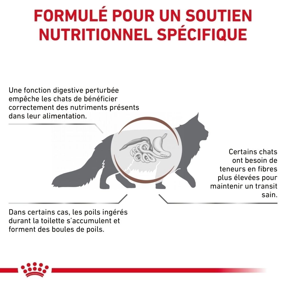 Sac de croquettes Royal Canin Gastrointestinal Hairball, 2 kg.