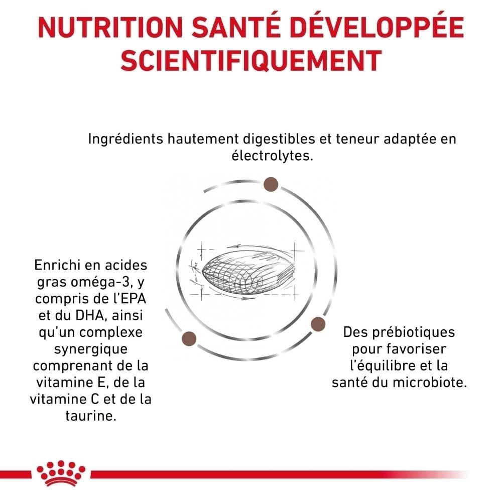 Royal Canin: Nutrition scientifiquement développée pour chats avec des ingrédients hautement digestibles.