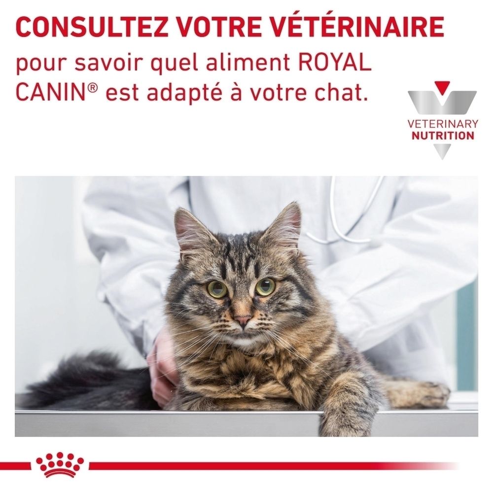 Conseil vétérinaire pour Royal Canin Veterinary Gastrointestinal.