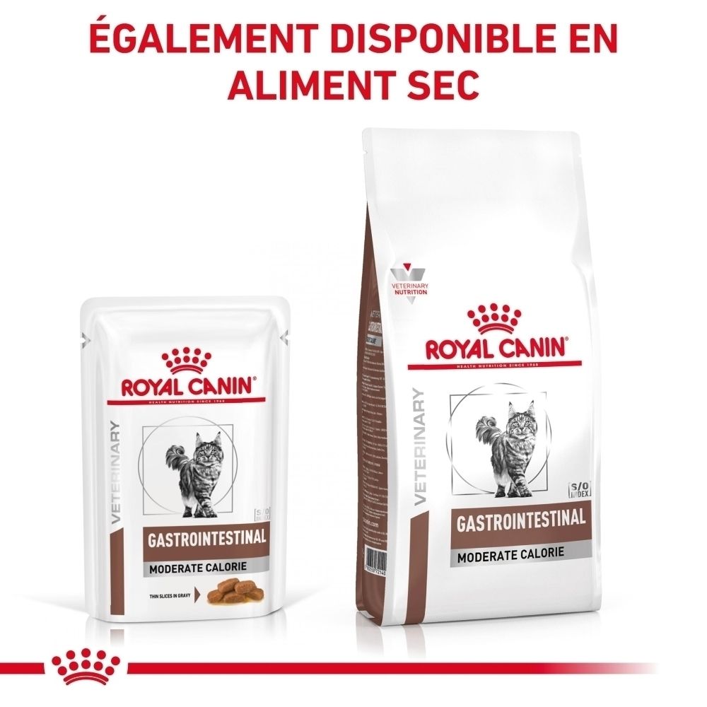Conditionnements de l'alimentation féline : sachet et nourriture sèche.