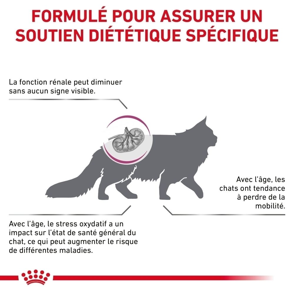 Sac de croquettes Royal Canin Veterinary Feline Early Renal, 1,5 kg.