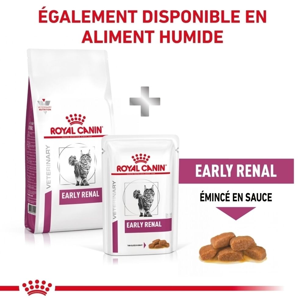 Sac de croquettes Royal Canin Veterinary Feline Early Renal avec un chat.