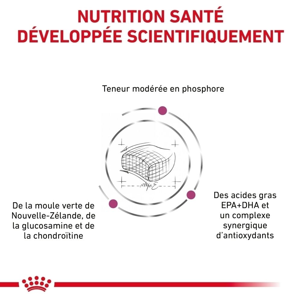 Graphique: symbole rénal, texte sur le soutien rénal, le vieillissement et la digestion.