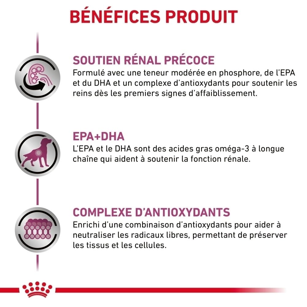 Graphique illustrant la fonction rénale chez le chien avec Royal Canin Veterinary Early Renal.