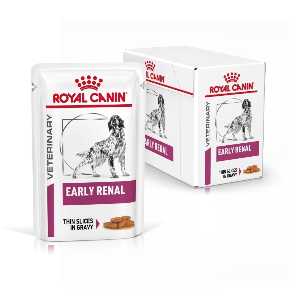 Royal Canin Veterinary Early Renal : Chien examiné par un vétérinaire, conseil sur le choix de l'alimentation.
