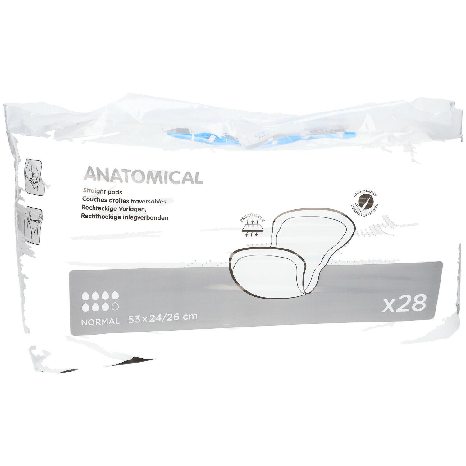 iD Insert Anatomic Normal
