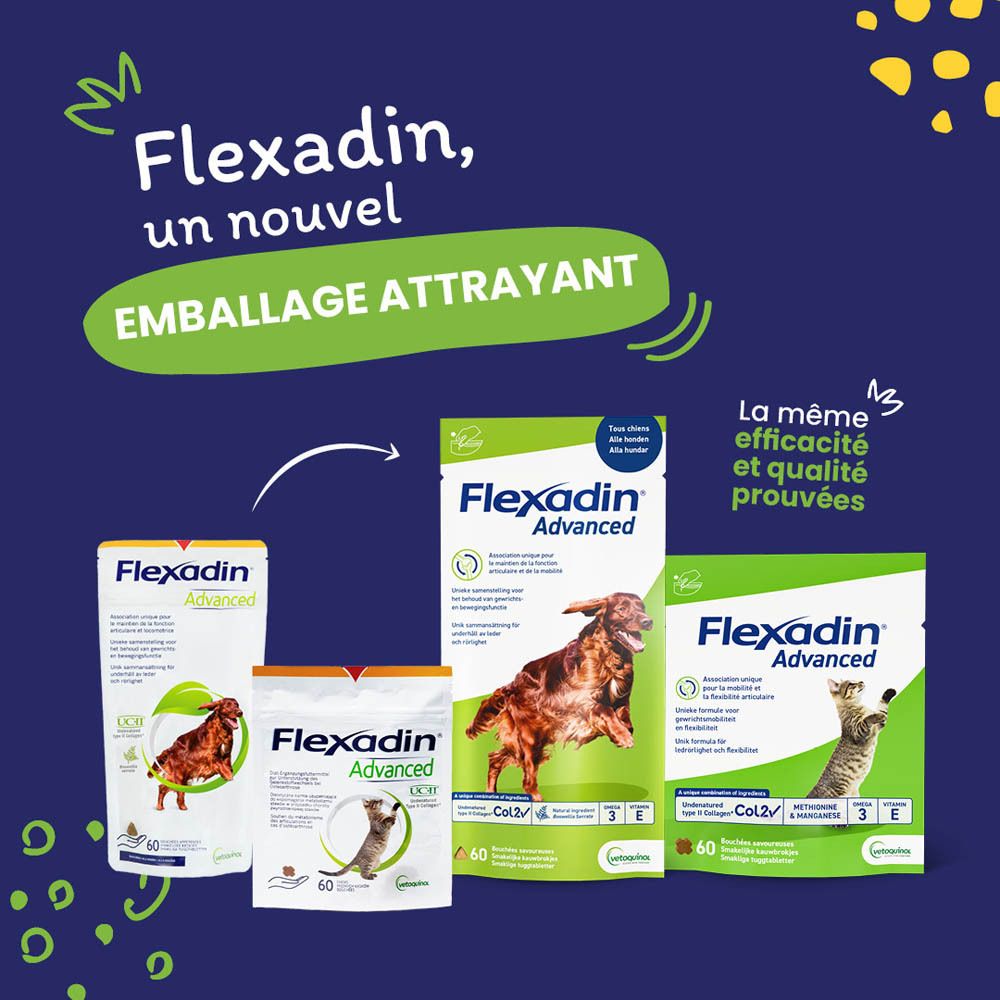 Emballage Flexadin Advanced. Contient 30 ou 60 comprimés à mâcher. Un chat et un chien sont illustrés.