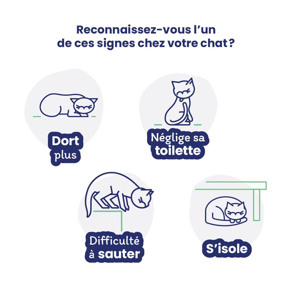 Emballage Flexadin Advanced. Contient 30 ou 60 comprimés à mâcher. Un chat et un chien sont illustrés.
