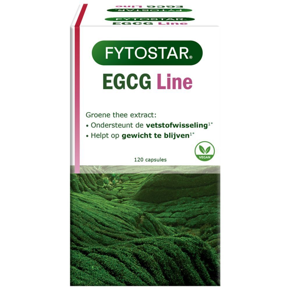 Fytostar EGCG Line Extrait de Thé Vert