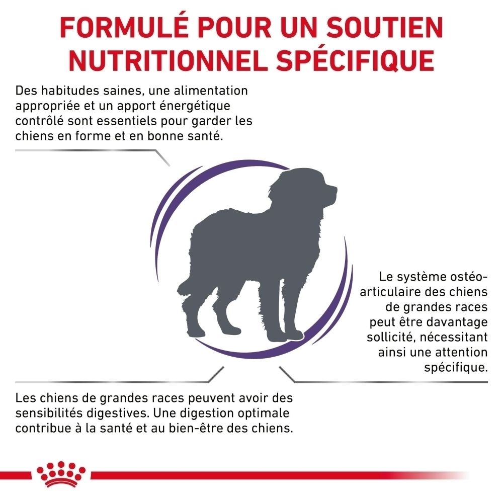 Comparaison : ancien et nouveau packaging Royal Canin Adult Large Dogs croquettes.