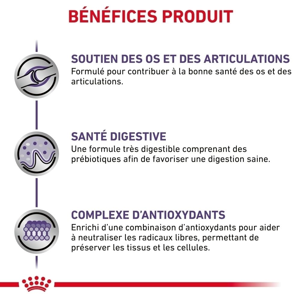 Avantages produit Royal Canin : os, digestion, antioxydants.