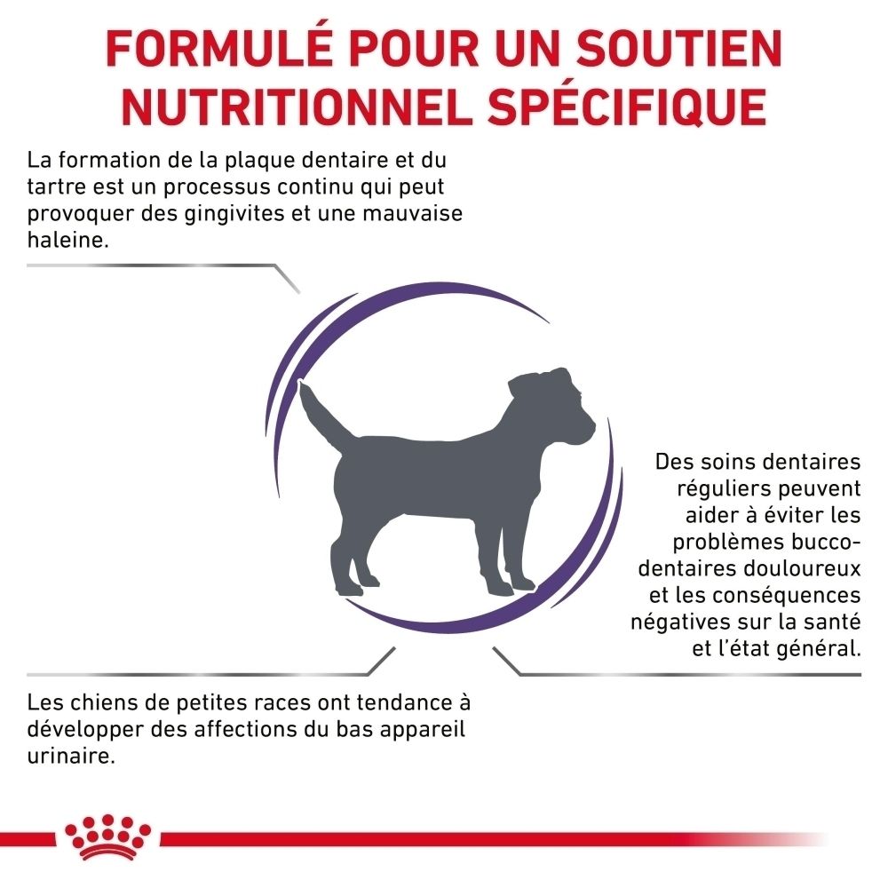 Côté d'un sac de 1,5 kg de croquettes Royal Canin Dental pour petits chiens, avec texte.
