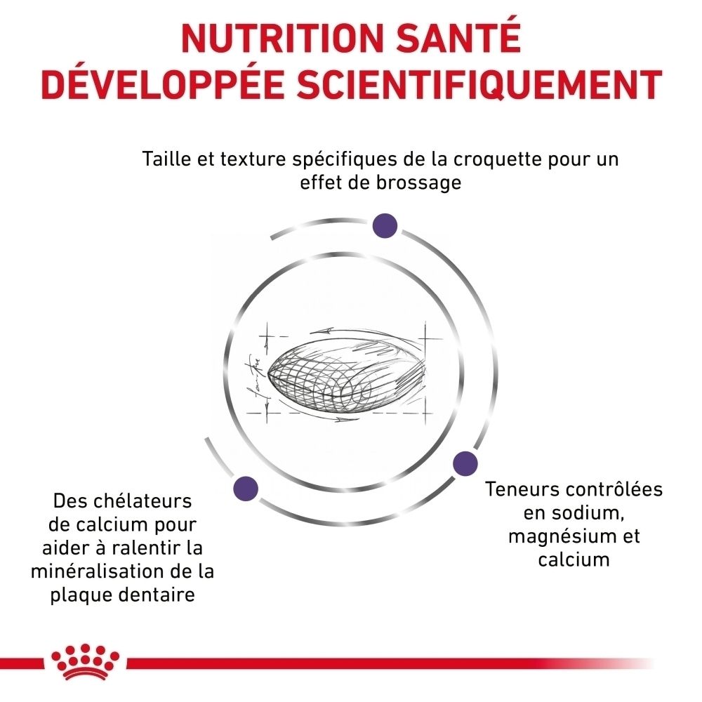 Arrière d'un sac de 1,5 kg de croquettes Royal Canin Dental pour petits chiens, avec informations nutritionnelles.