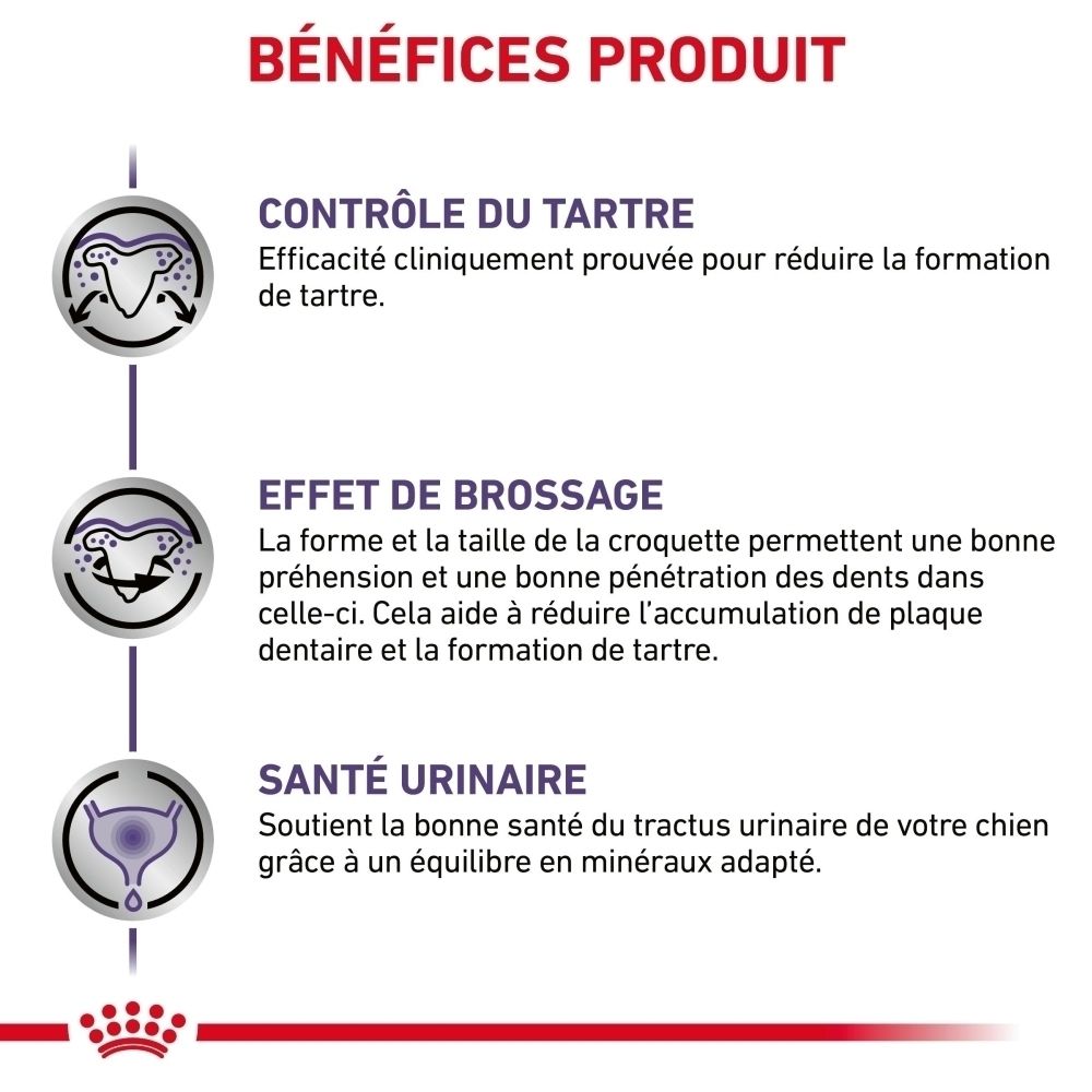 Côté d'un sac de 1,5 kg de croquettes Royal Canin Dental pour petits chiens, avec texte.