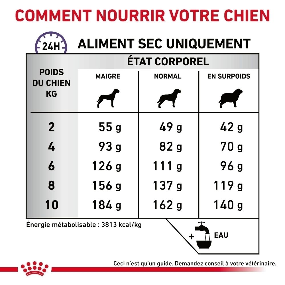 Avant d'un sac de 1,5 kg de croquettes Royal Canin Dental pour petits chiens, avec image de chien.