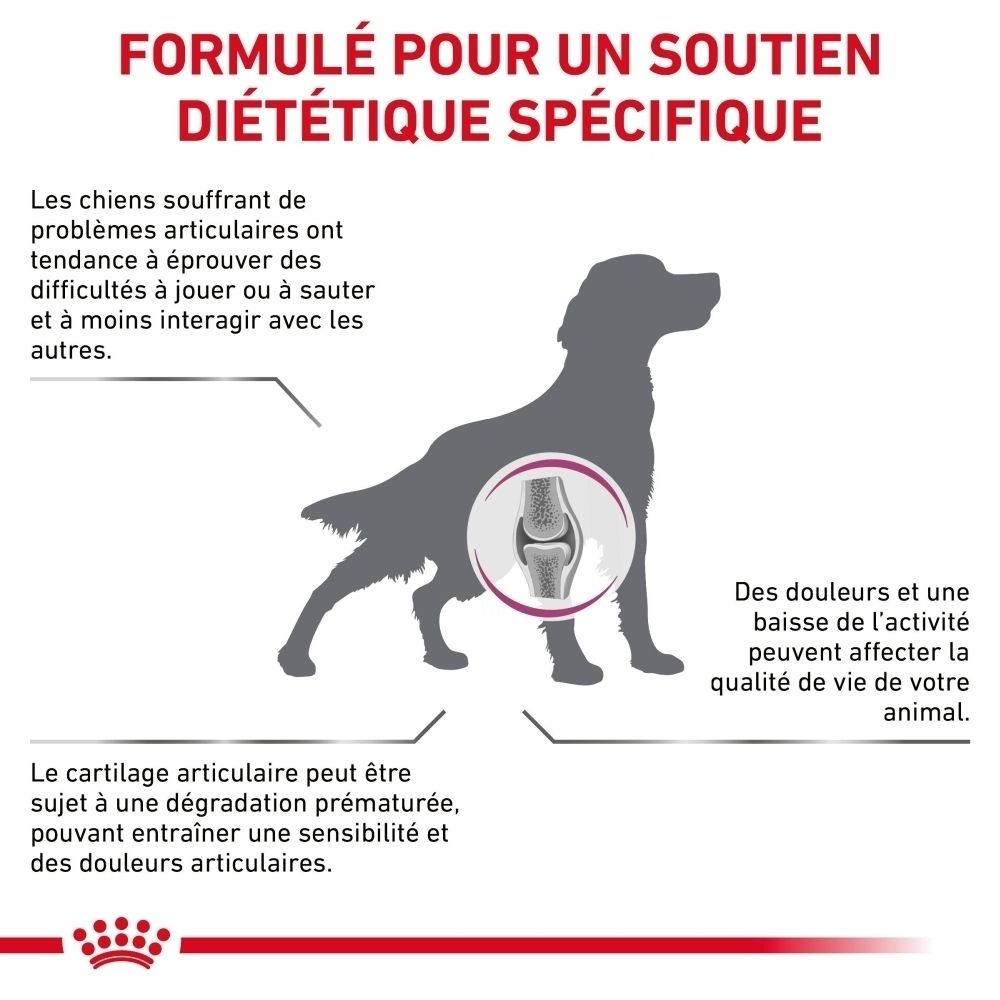Sac de croquettes : Royal Canin Veterinary Mobility Support.
