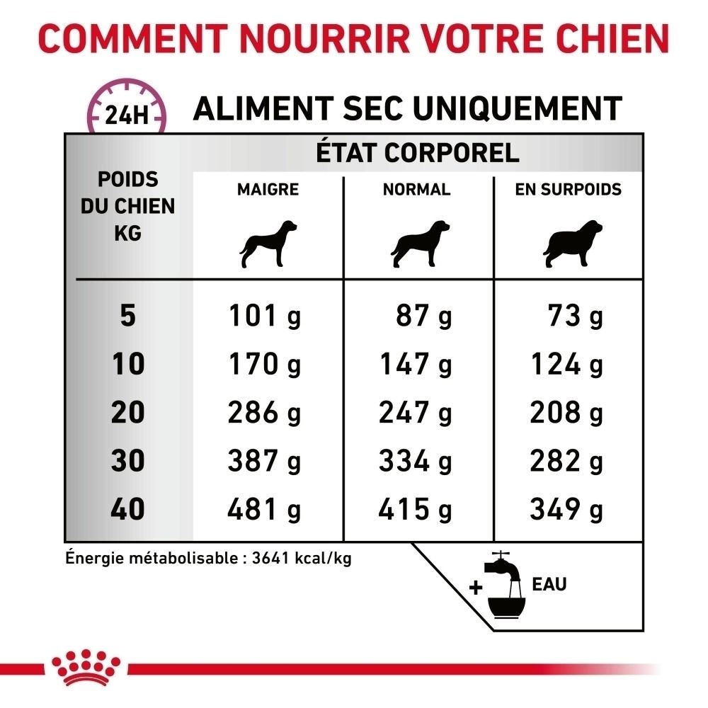 Recommandation d'alimentation pour chiens : Tableau avec poids et quantité de nourriture selon l'état corporel.