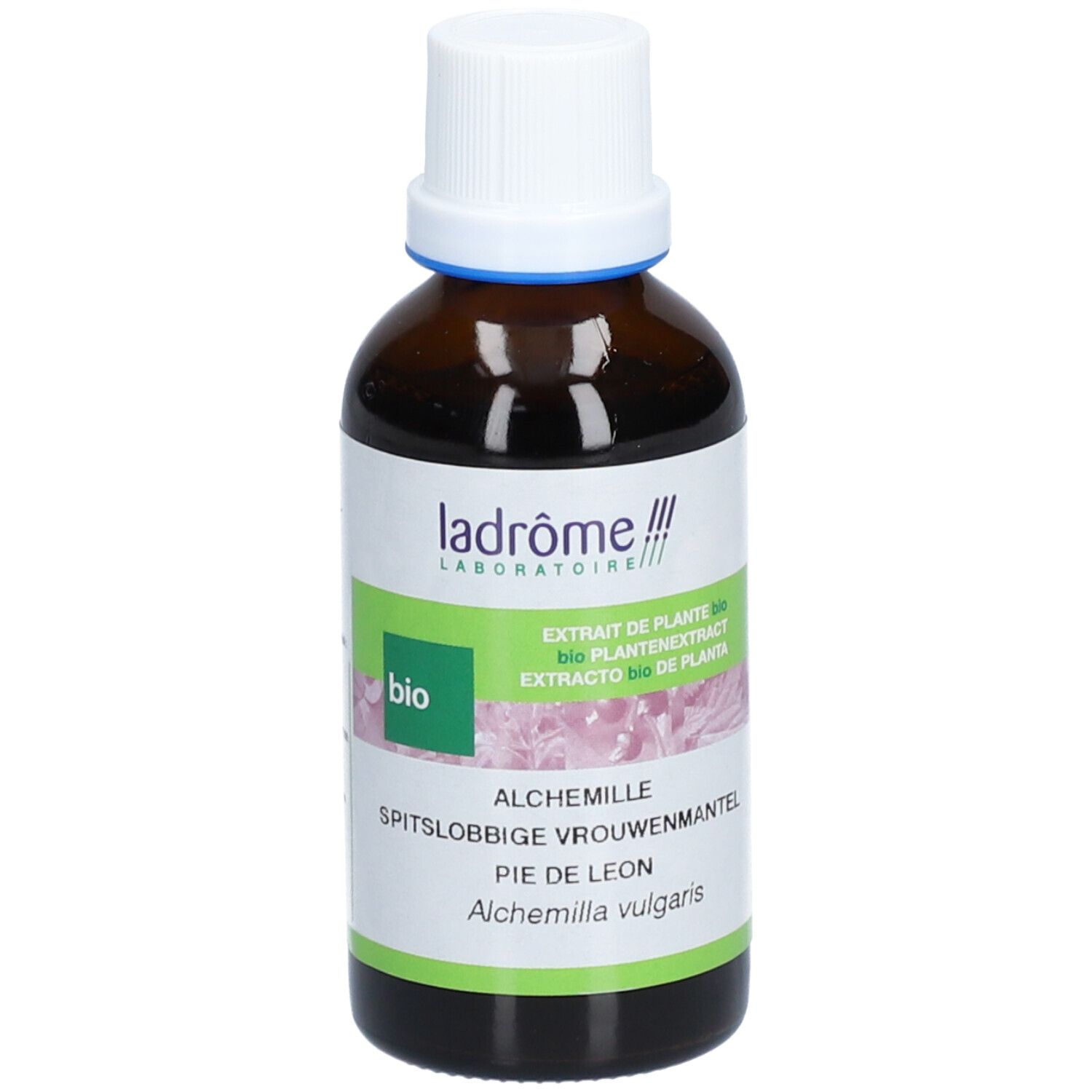 Ladrôme Alchémille Extrait Végétale