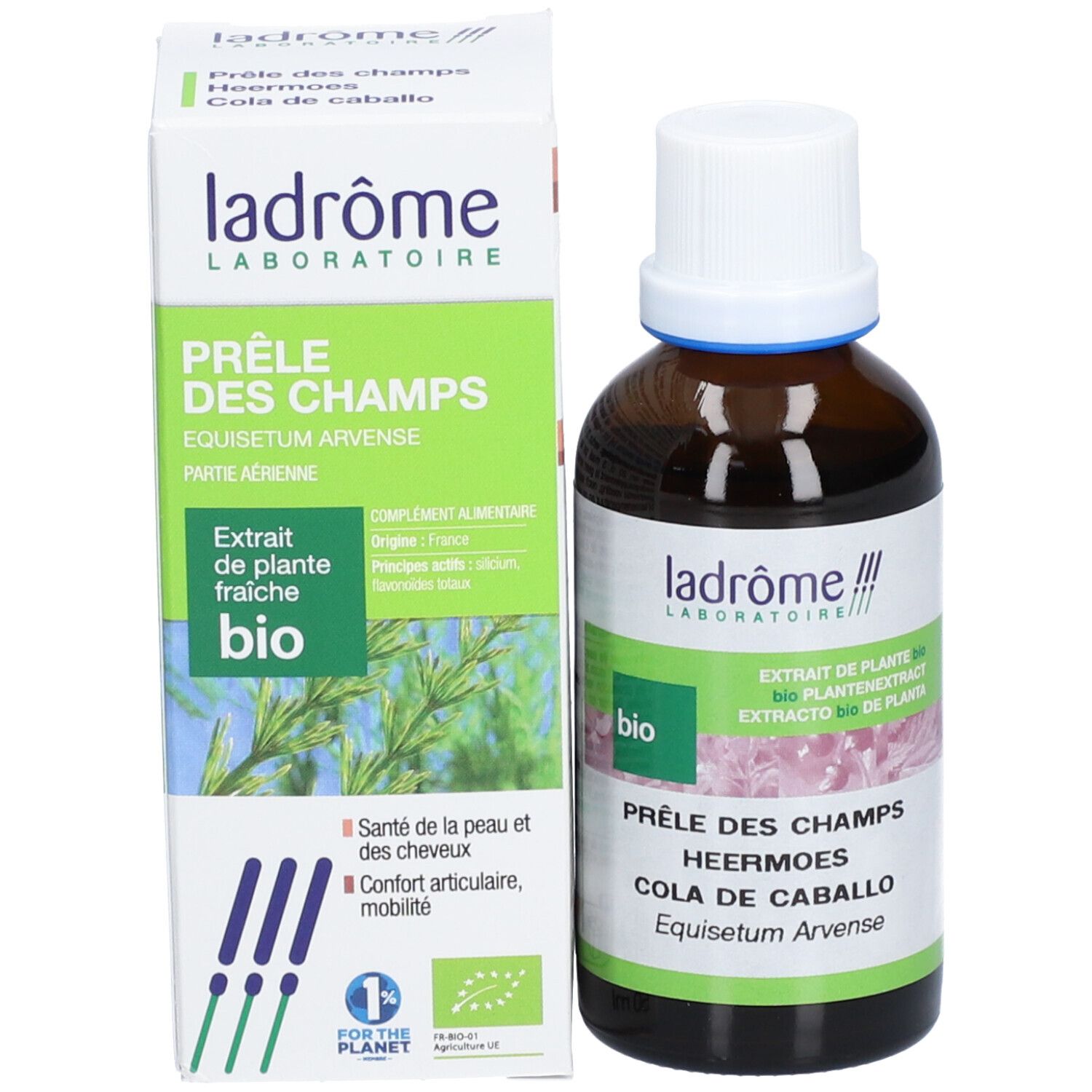 Ladrôme Prêle des Champs Extrait Végétale