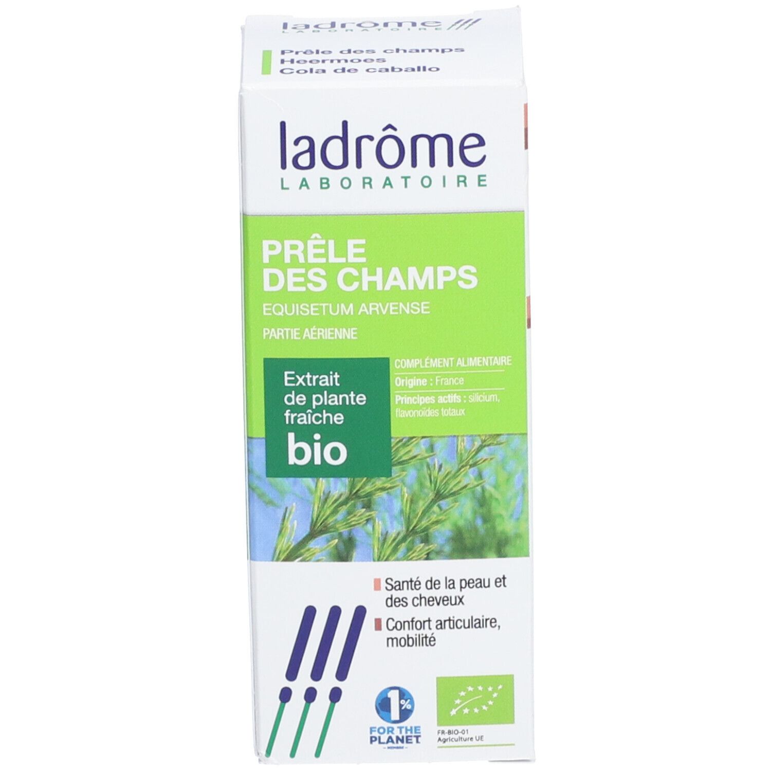 Ladrôme Prêle des Champs Extrait Végétale