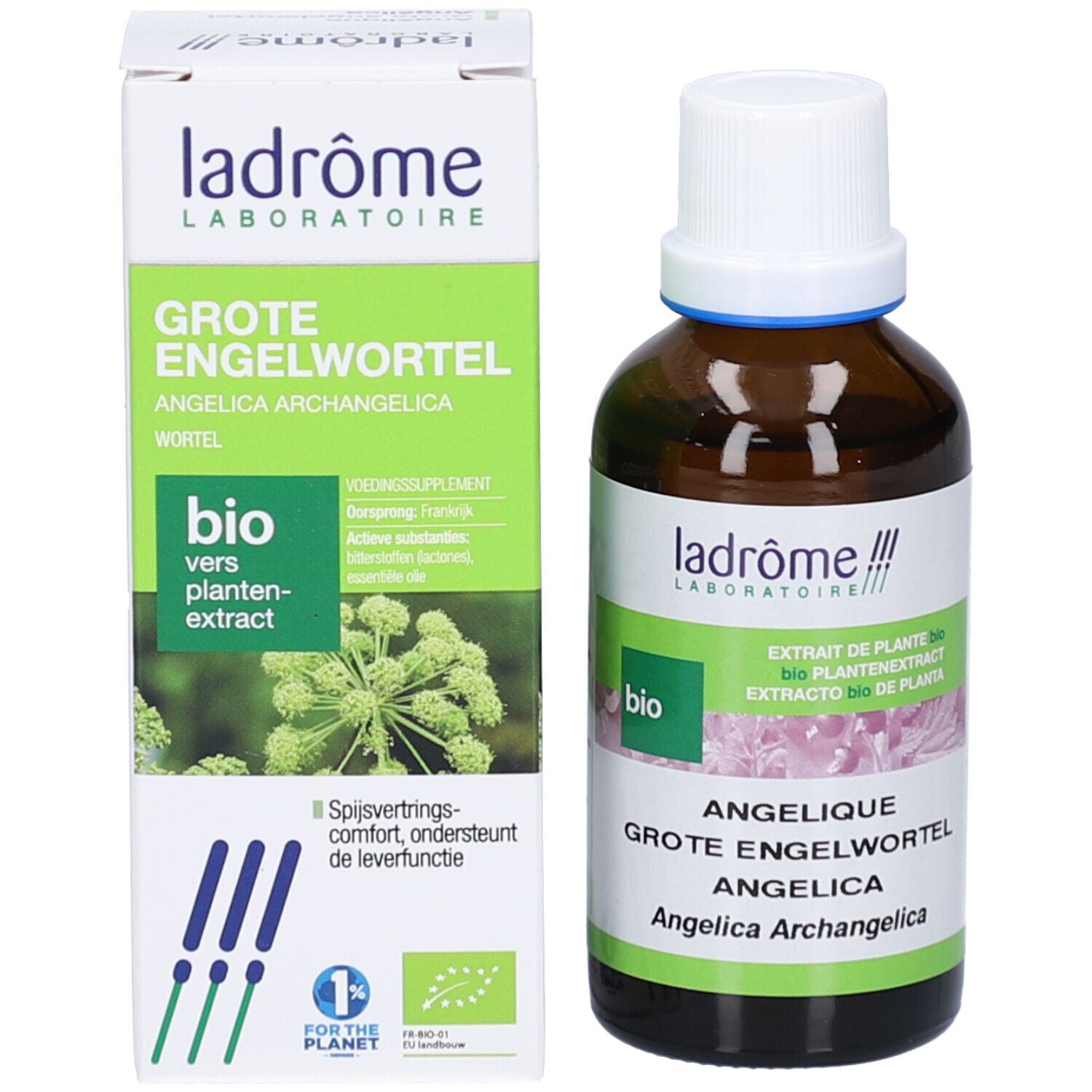 Flacon et boîte. Flacon en verre brun avec bouchon blanc. Boîte verte avec nom du produit, marque et label bio.