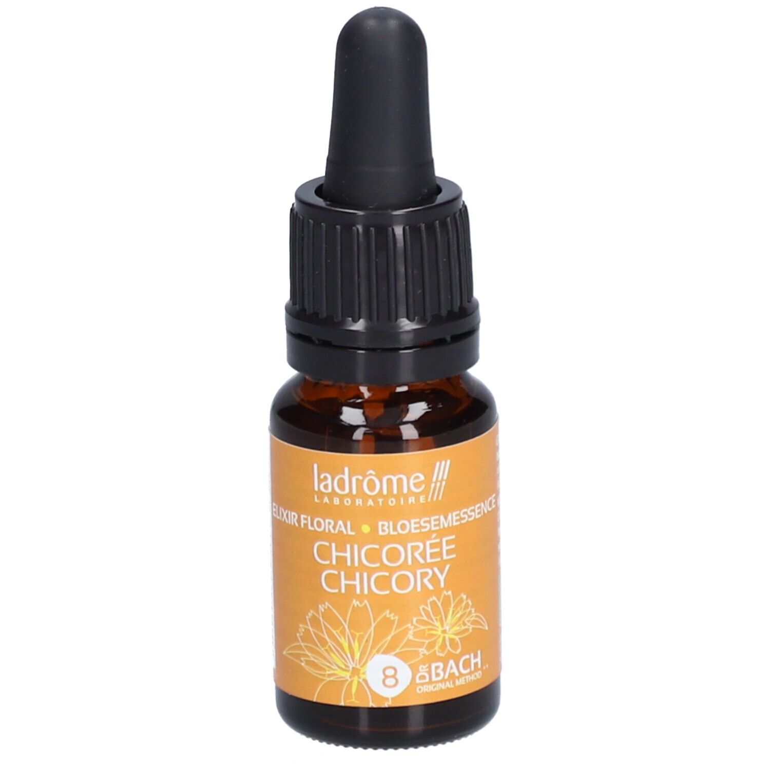 Ladrôme Chicorée N°8