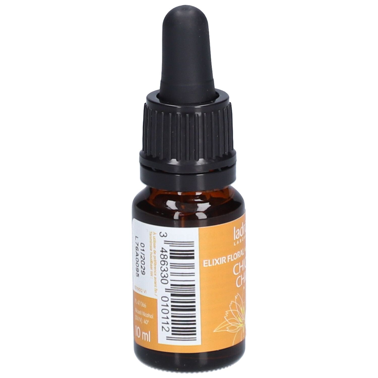 Ladrôme Chicorée N°8