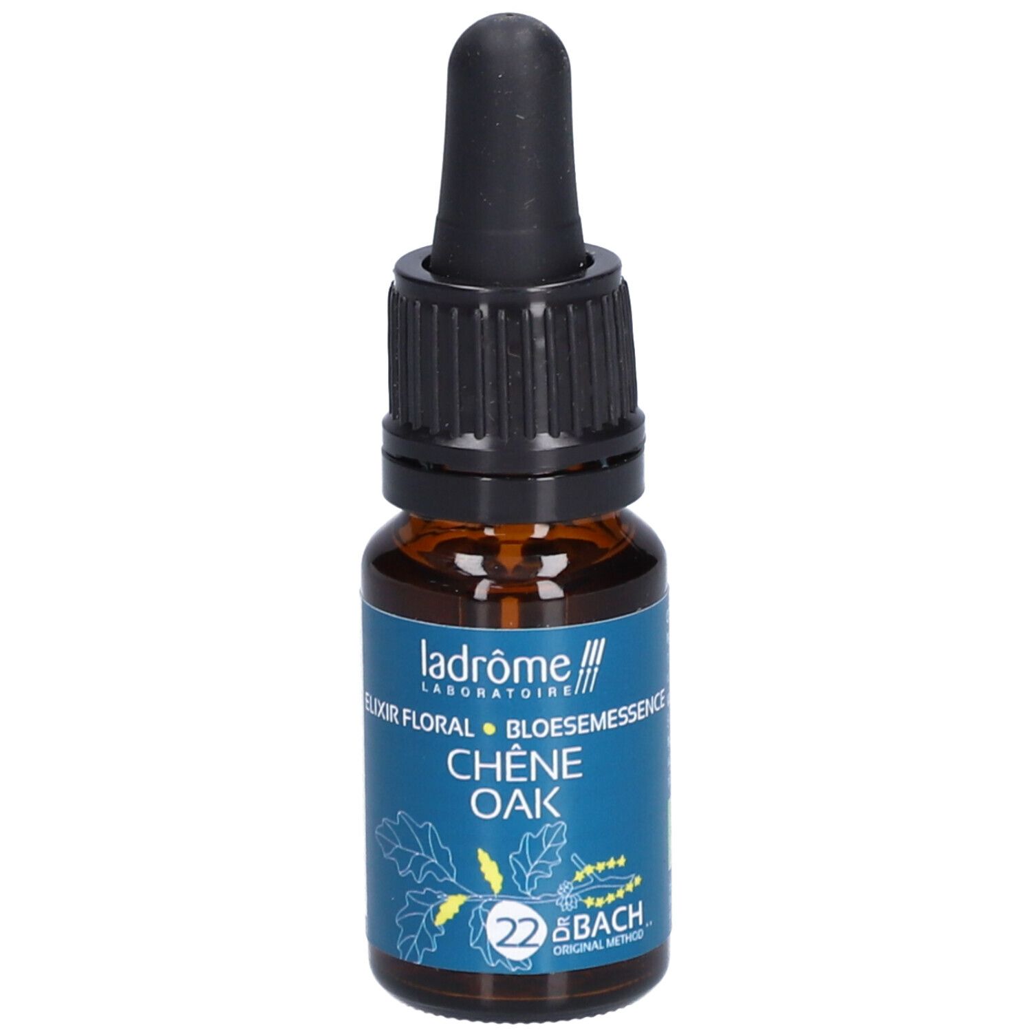 Ladrôme Chêne N°22