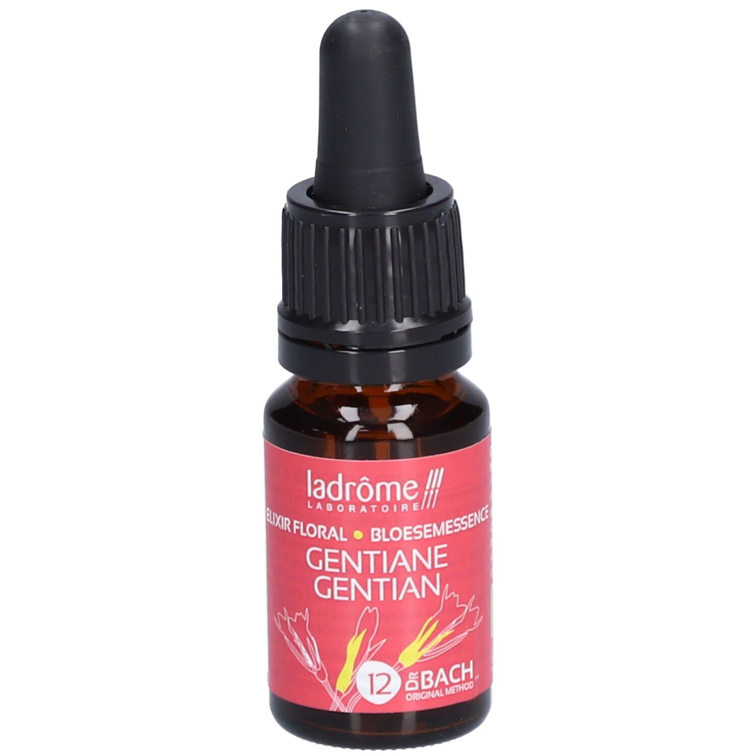 Ladrôme Gentiane N°12