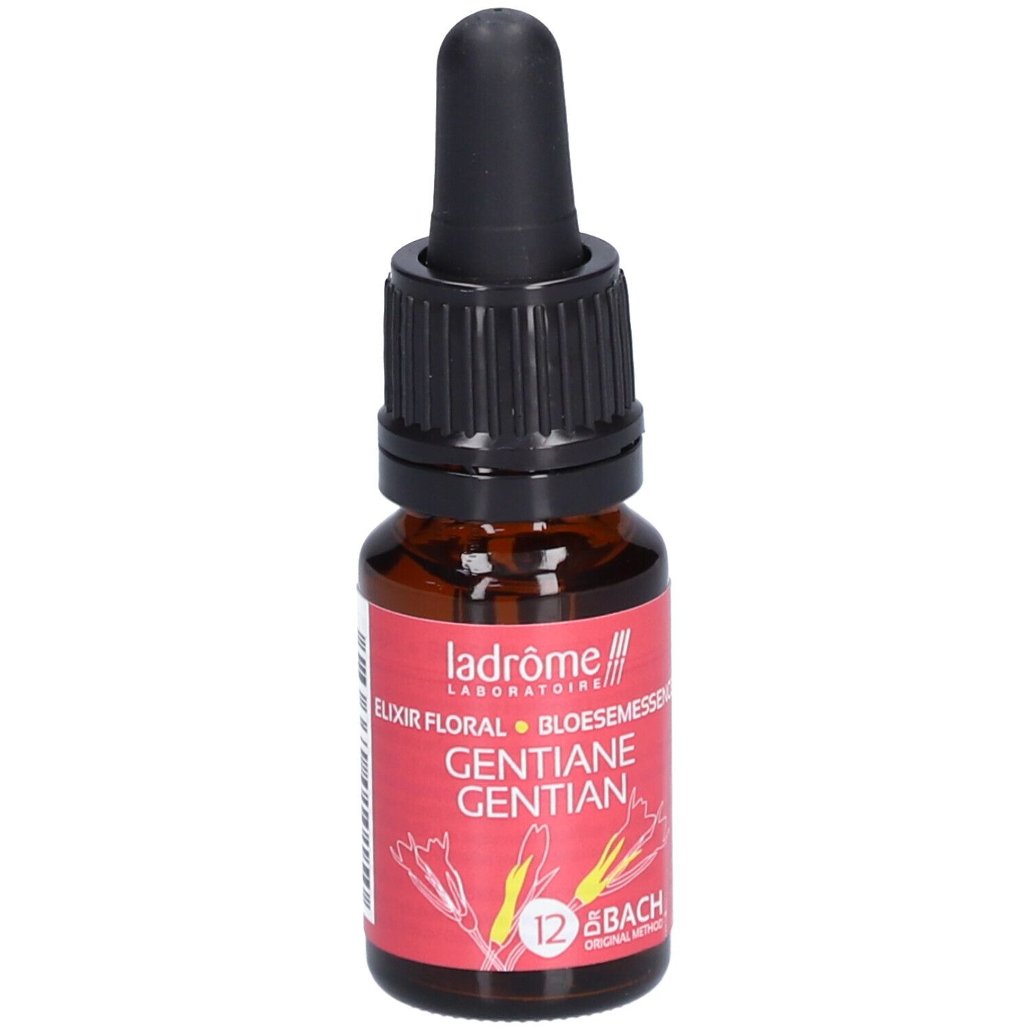 Ladrôme Gentiane N°12