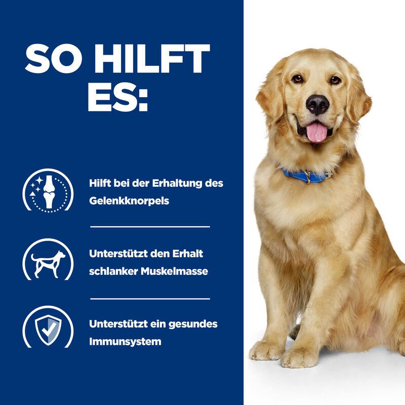 Hill's PRESCRIPTION DIET™ j/d Mobility Care Chien