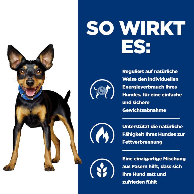 Fond bleu avec texte. Chien debout. Texte : Comment ça marche : consommation d'énergie, combustion des graisses, fibres.