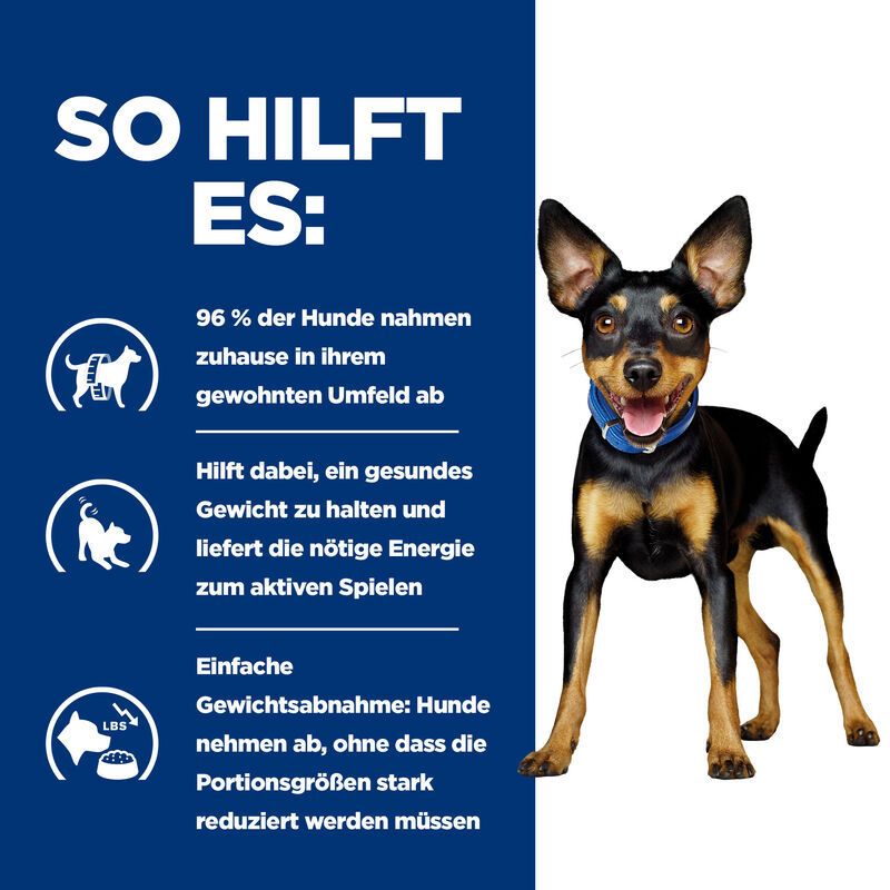 Fond bleu avec texte. Chien debout. Texte : Comment ça aide : 96% des chiens ont perdu du poids, poids sain, énergie.
