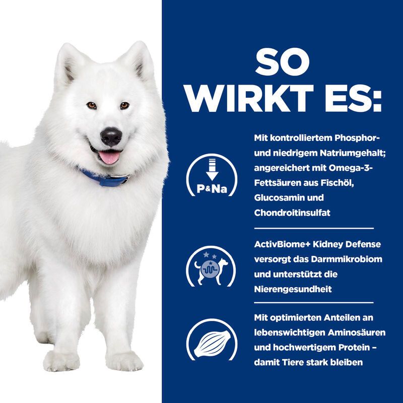 Hill's PRESCRIPTION DIET™ k/d j/d Kidney + Mobility Chien
