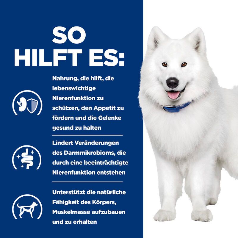 Hill's PRESCRIPTION DIET™ k/d j/d Kidney + Mobility Chien