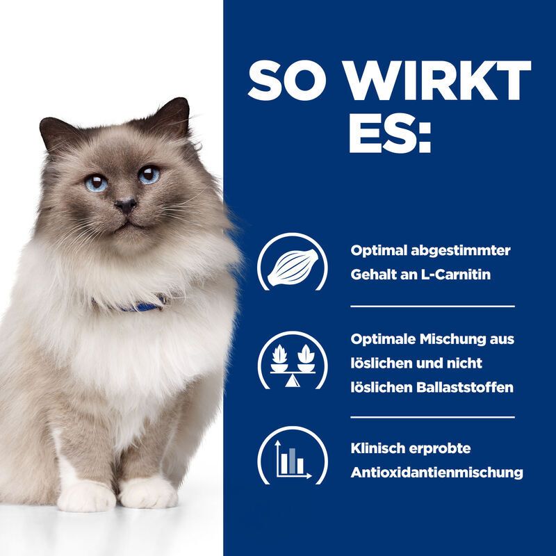 Fond bleu avec texte : Comment ça marche : L-carnitine, fibres, antioxydants. Image d'un chat.