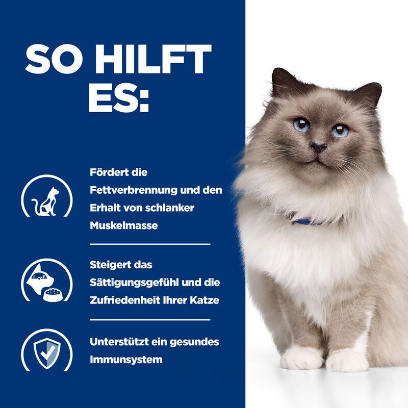 Fond bleu avec texte : Comment ça aide : brûler les graisses, sensation de satiété, système immunitaire. Image d'un chat.