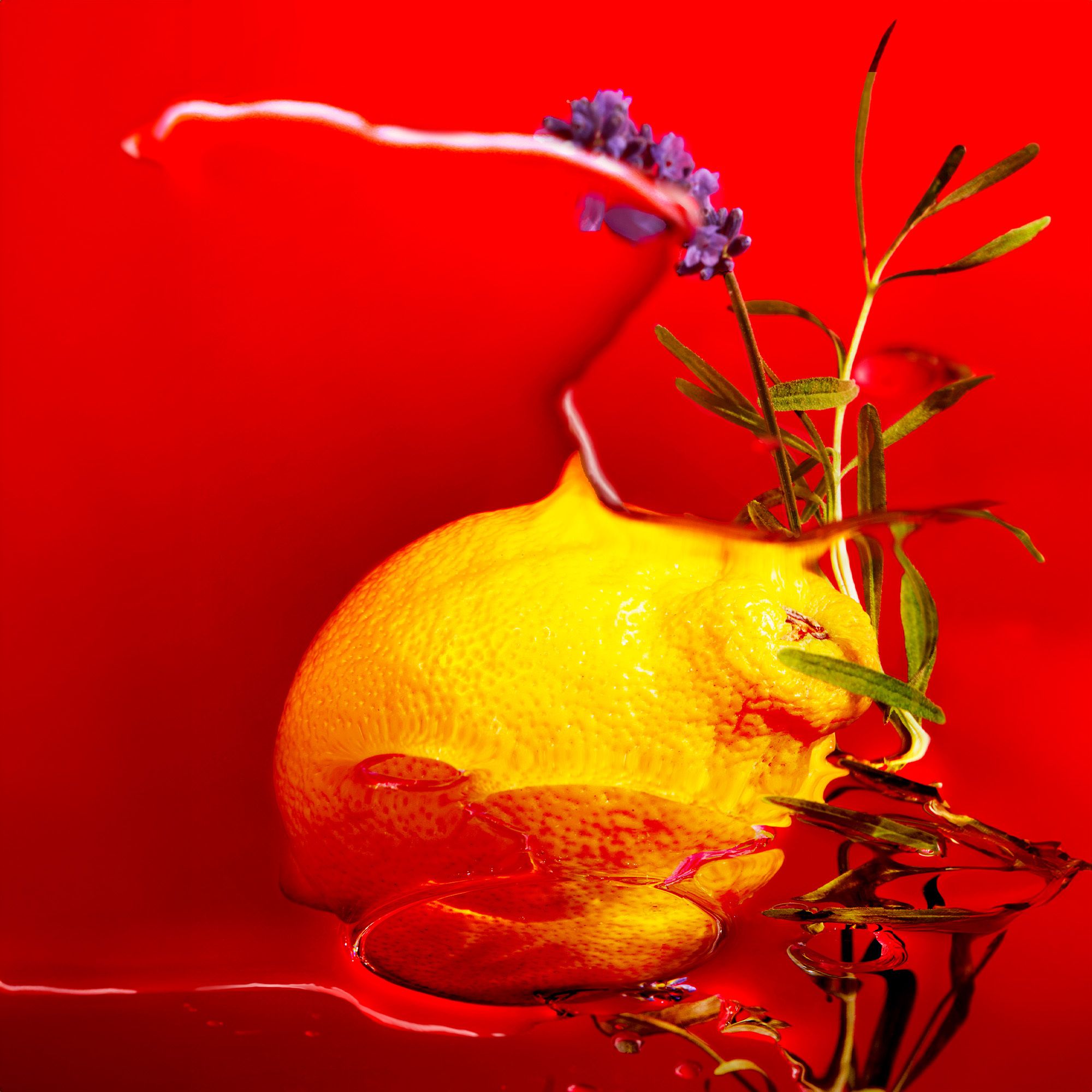 Citron, lavande et romarin sur fond rouge.